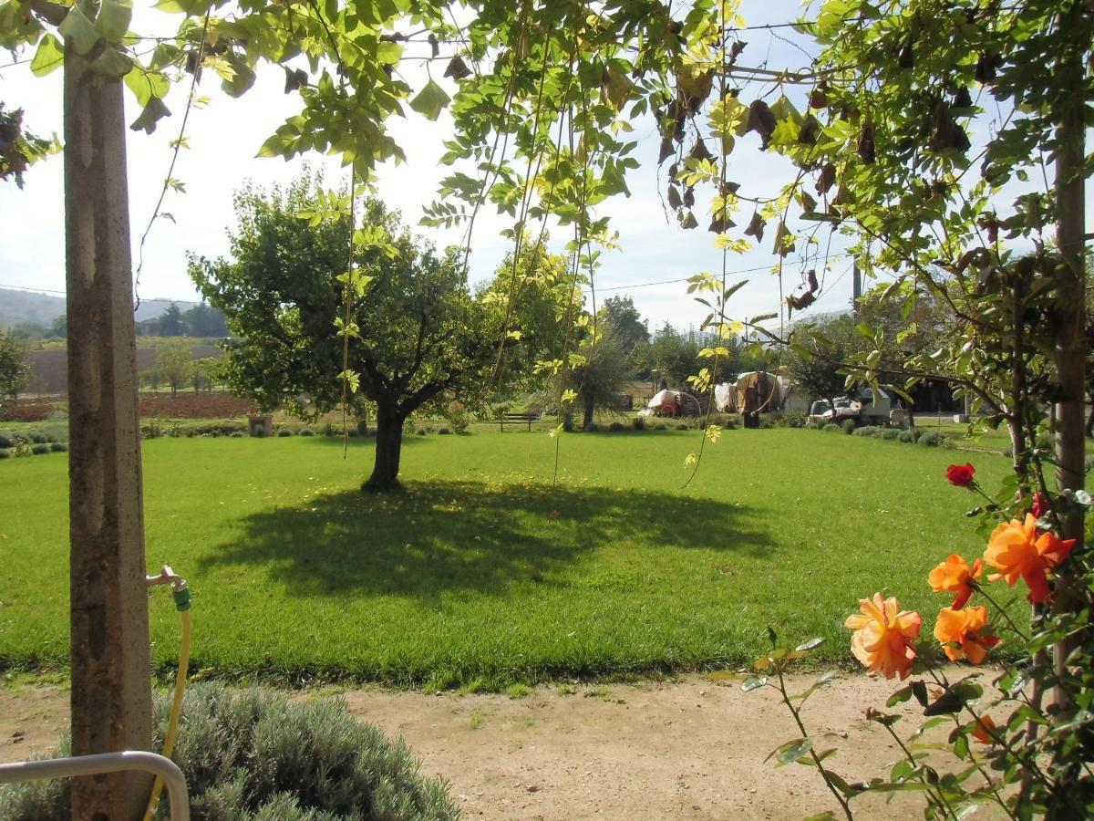 Villa Agriturismo Abbazia Sette Frati A Casa Di Sara Pietrafitta  Exterior foto